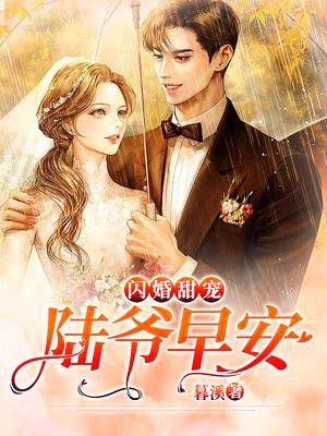 闪婚甜宠：陆爷，早安！封面